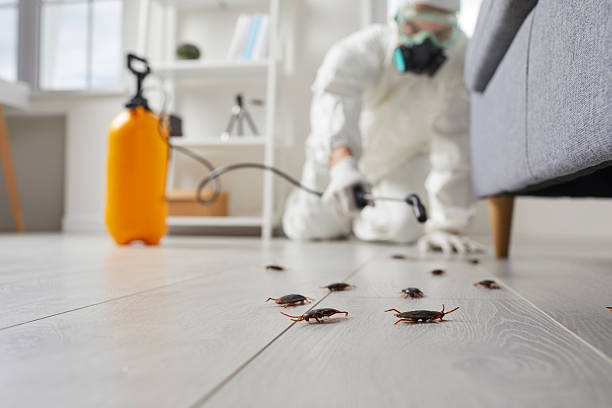 Commercial Kitchen Cockroach Control in Honaker